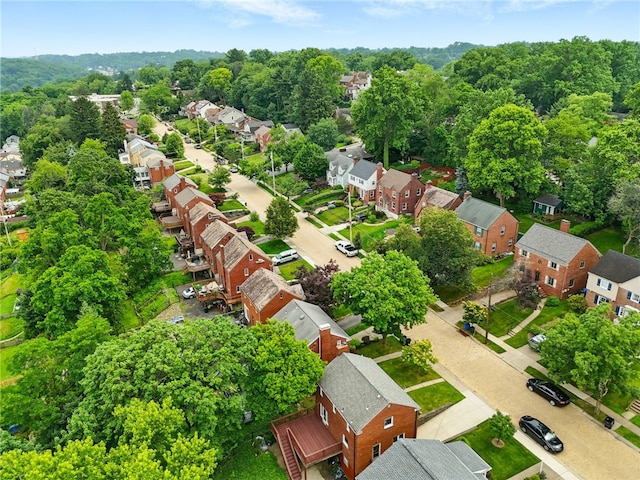 717 Kewanna Ave, Mt Lebanon, PA 15234 - aerial view of residential area