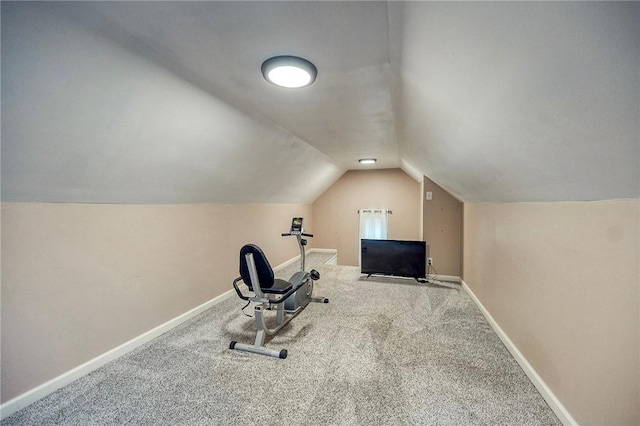 725 Dunster St, Brookline, PA 15226 - workout room with lofted ceiling and carpet flooring