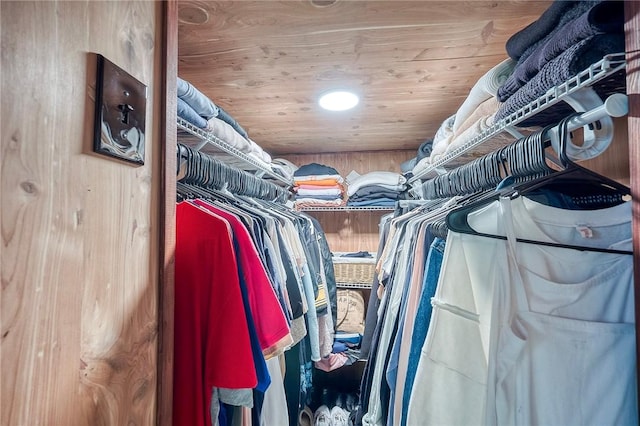725 Dunster St, Brookline, PA 15226 - view of spacious closet