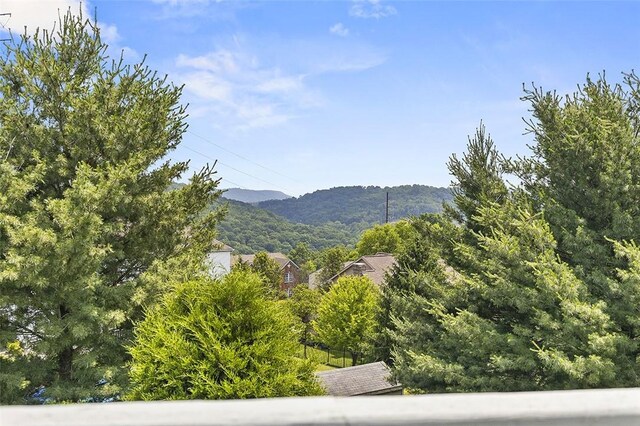 1615 Lilac Ln, Moon/Crescent Twp, PA 15046 - photo 41