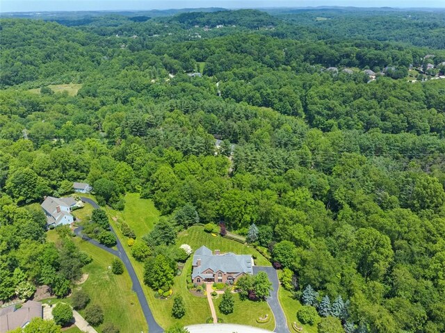 3913 Bridgewood Cir, Murrysville, PA 15668 - photo 4