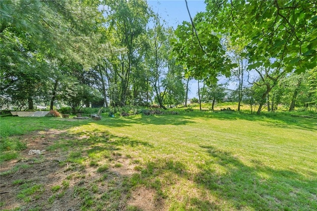 425 Sandy Dr, Shaler, PA 15116 - view of green lawn