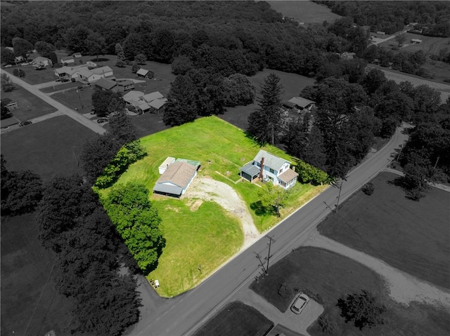 4177 Main St, Cook Twp, PA 15687 - aerial view of a forest