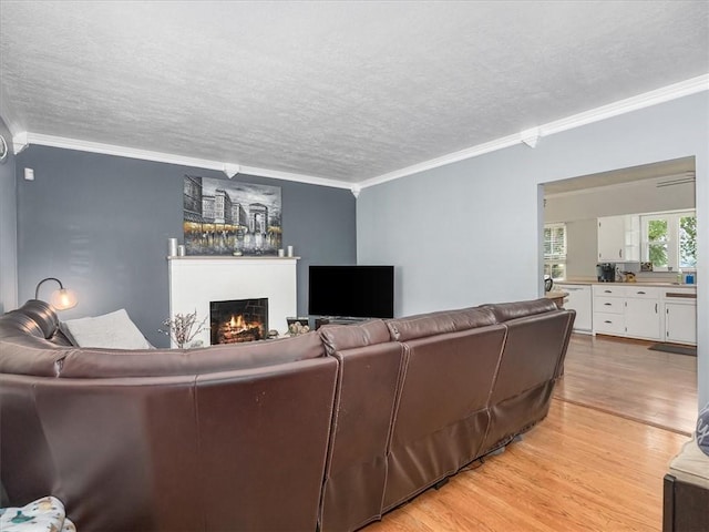 1713 Buchanan Ext, Aliquippa, PA 15001 - living area featuring light wood-style floors, crown molding, a textured ceiling, and a warm lit fireplace