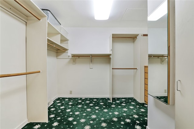 2370 Morrow Rd, Upper St Clair, PA 15241 - walk in closet featuring carpet floors