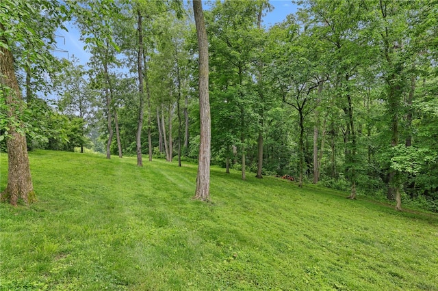 2370 Morrow Rd, Upper St Clair, PA 15241 - view of green lawn featuring a view of trees
