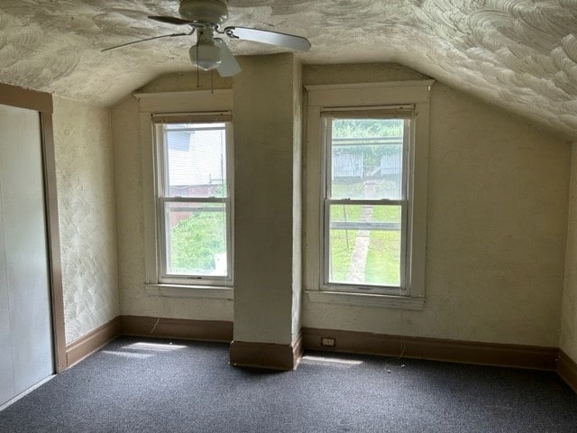 2618 Salisbury St, South Side, PA 15210 - bonus room featuring vaulted ceiling, plenty of natural light, a textured ceiling, and carpet