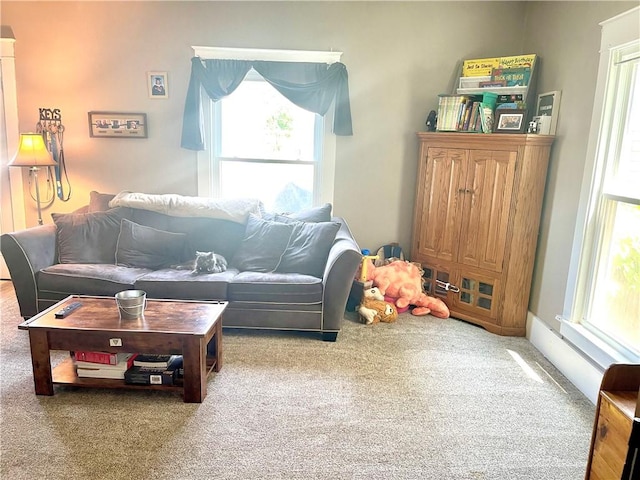 424 Hess Ave, Erie City, PA 16507 - living room with carpet and healthy amount of natural light