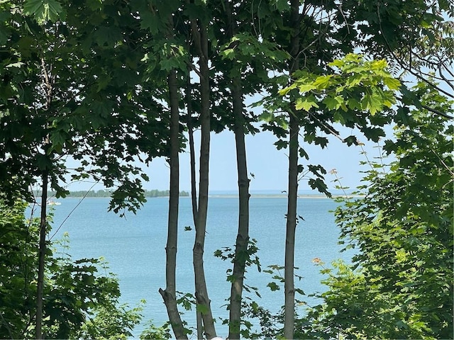 424 Hess Ave, Erie City, PA 16507 - water view