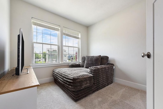 1408 Commons Ln, South Fayette, PA 15017 - sitting room with carpet floors