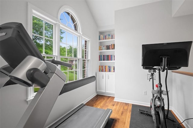 116 Bunker Hill Dr, Peters Twp, PA 15317 - workout room with healthy amount of natural light, light wood-style flooring, and vaulted ceiling