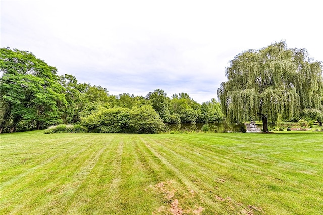317 Bridlewood Dr, Hempfield Twp Wml, PA 15601 - view of green lawn