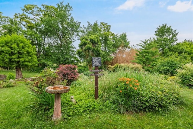 240 Rte 88, Monongahela, PA 15063 - view of yard