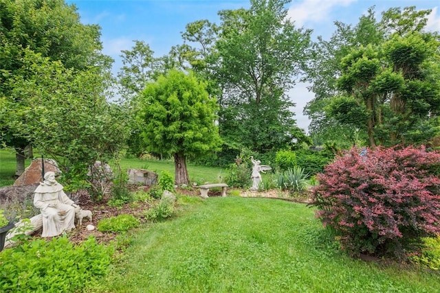 240 Rte 88, Monongahela, PA 15063 - view of green lawn featuring view of scattered trees
