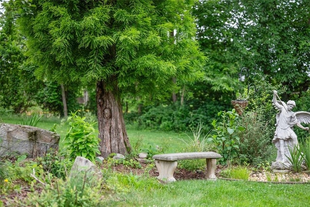 240 Rte 88, Monongahela, PA 15063 - view of yard