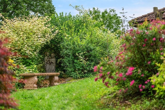 240 Rte 88, Monongahela, PA 15063 - view of yard