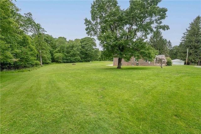 2228 Dinnerbell Five Forks Rd, Wharton Twp, PA 15437 - view of green lawn