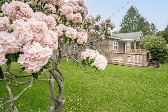 2228 Dinnerbell Five Forks Rd, Wharton Twp, PA 15437 - view of green lawn featuring a wooden deck