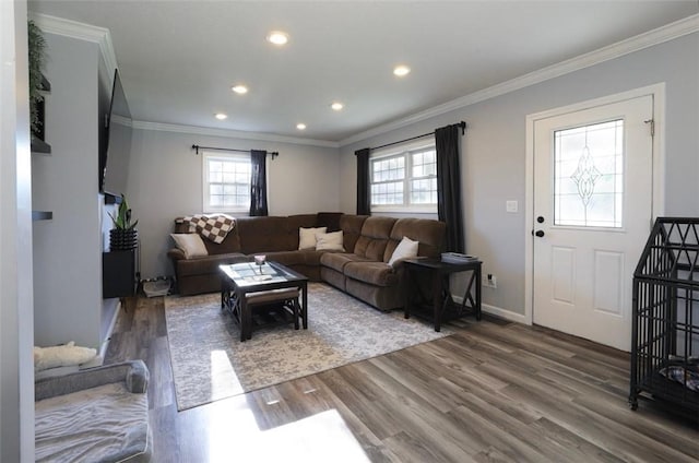 407 1st St, South Union Twp, PA 15401 - living room featuring crown molding, wood finished floors, and recessed lighting