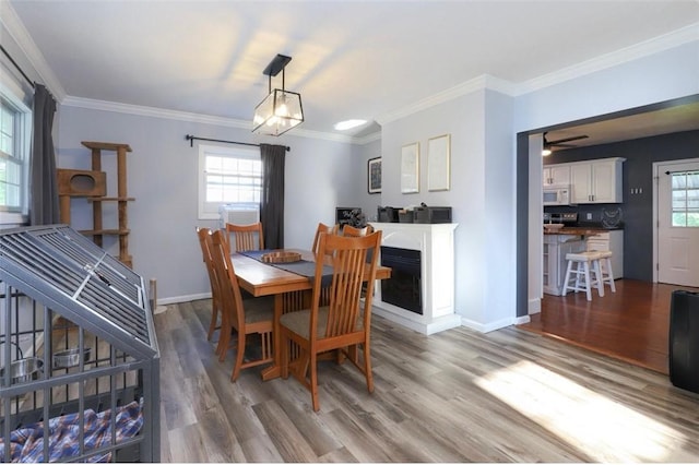 407 1st St, South Union Twp, PA 15401 - dining room featuring wood finished floors, ornamental molding, and ceiling fan