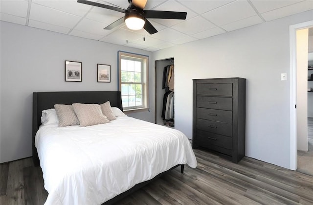 407 1st St, South Union Twp, PA 15401 - bedroom featuring a drop ceiling, wood finished floors, a closet, and a ceiling fan