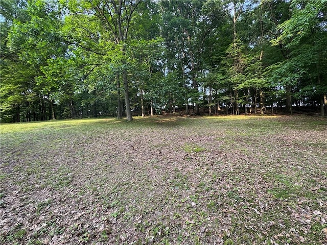 1274 Rte 110th Hwy, White Twp, PA 15701 - photo 12