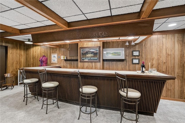 117 Scarborough Ln, Peters Twp, PA 15317 - indoor wet bar with wood walls and light colored carpet