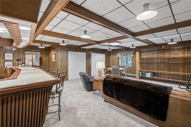 117 Scarborough Ln, Peters Twp, PA 15317 - living area featuring wooden walls, carpet flooring, a baseboard radiator, and beam ceiling