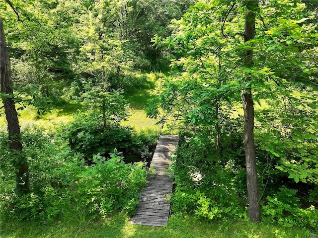 117 Scarborough Ln, Peters Twp, PA 15317 - view of property's community with a wooded view