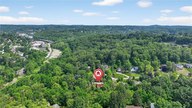 117 Scarborough Ln, Peters Twp, PA 15317 - aerial view of a forest