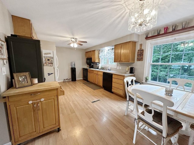 217 S Shady Ave, Chartiers, PA 15342 - kitchen with black appliances, a ceiling fan, plenty of natural light, and light wood-style flooring