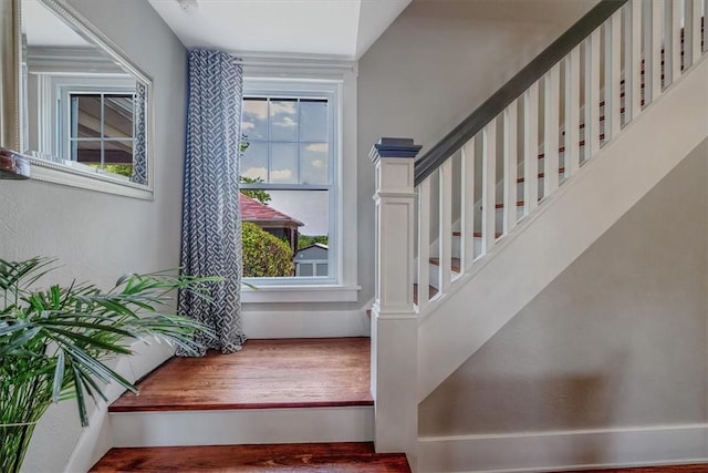 2125 Vodeli St, Beechview, PA 15216 - foyer entrance featuring stairway and wood finished floors