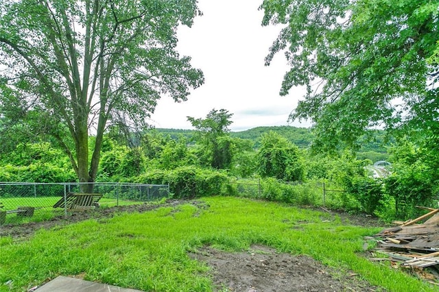 224 Mellon Ave, Donora, PA 15033 - view of yard