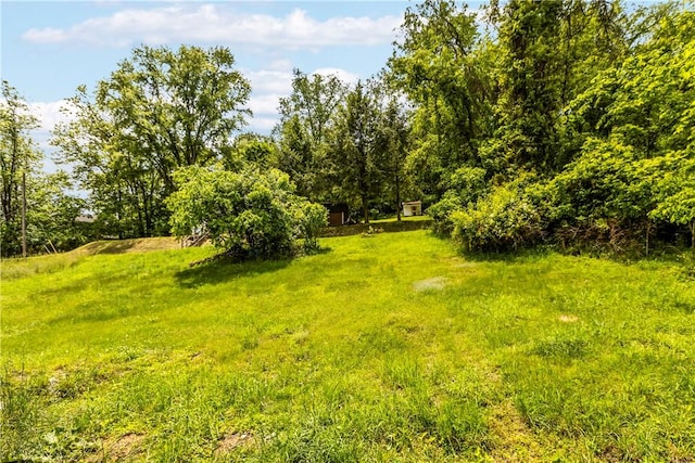 2513 Grove Rd, South Park, PA 15129 - view of yard