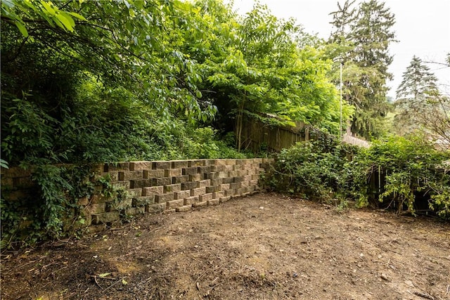841 Stanton Ave, Millvale, PA 15209 - view of yard