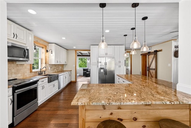 260 Stouffer Hill Rd, Somerset Twp, PA 15541 - kitchen featuring appliances with stainless steel finishes, a barn door, dark wood finished floors, healthy amount of natural light, and recessed lighting