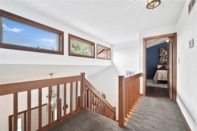2507 Sarah Ct, Murrysville, PA 15668 - corridor with an upstairs landing and carpet flooring