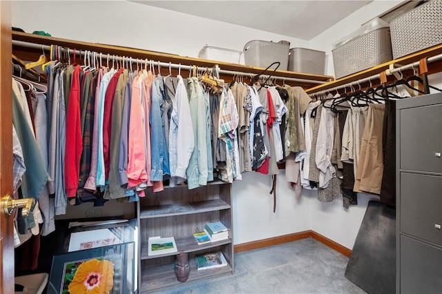 2507 Sarah Ct, Murrysville, PA 15668 - spacious closet with carpet floors