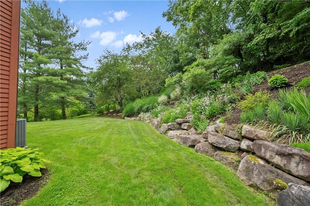 2507 Sarah Ct, Murrysville, PA 15668 - view of grassy yard