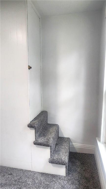 118 Brady Ave, City Of Washington, PA 15301 - mudroom with baseboards and carpet floors