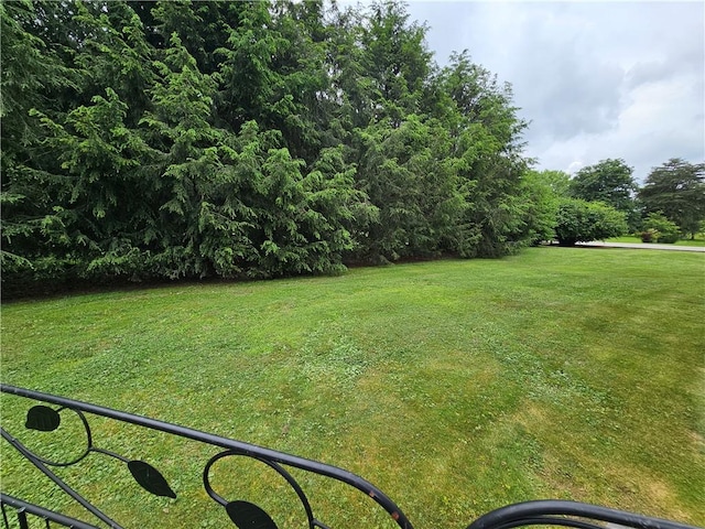 15 Pineview Ests, Sewickley Twp, PA 15089 - view of grassy yard