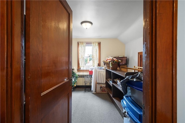 1223 Ingham St, Marshall Shadeland, PA 15212 - view of storage