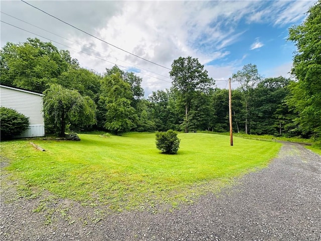 170 Hungarian Rd, Cherry Twp, PA 16057 - view of grassy yard