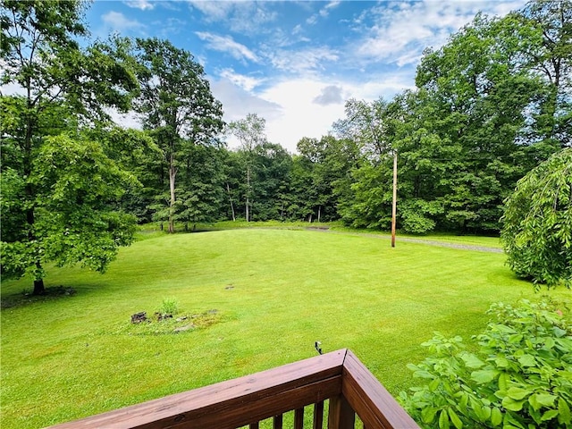 170 Hungarian Rd, Cherry Twp, PA 16057 - view of grassy yard