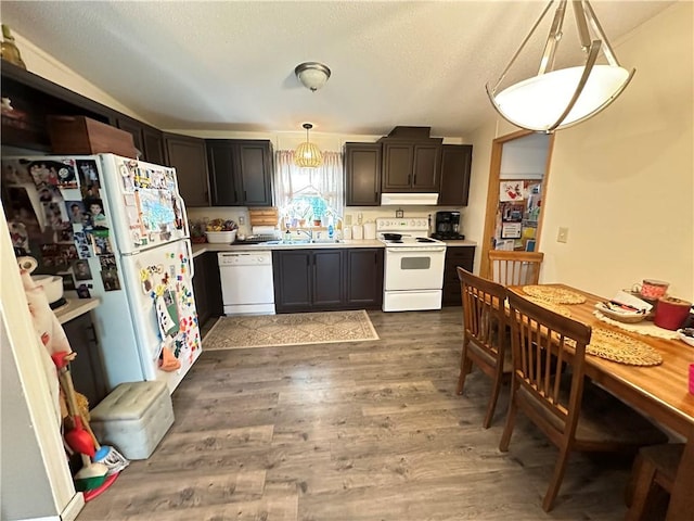 170 Hungarian Rd, Cherry Twp, PA 16057 - kitchen with white appliances, wood finished floors, under cabinet range hood, light countertops, and decorative light fixtures