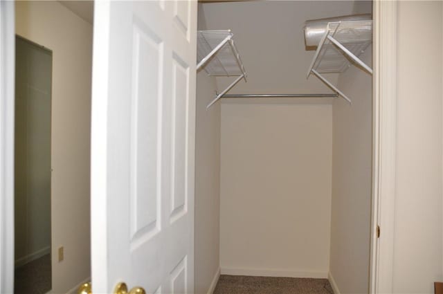 1101 Lenox Dr, Bethel Park, PA 15102 - view of walk in closet
