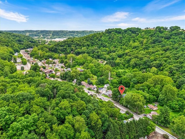 537 Ambridge Ave, Leet Twp, PA 15003 - drone / aerial view of a forest