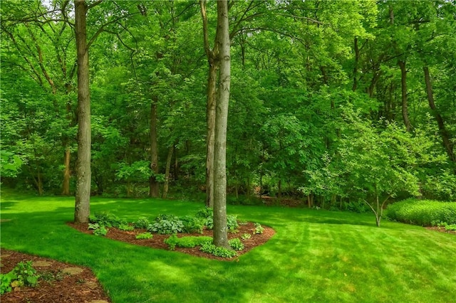 143 Hampshire Dr, Cranberry Twp, PA 16066 - view of grassy yard with a wooded view