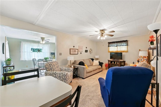 1029 N Water Ave, Hermitage, PA 16148 - living area with ceiling fan, carpet floors, and baseboard heating