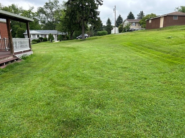 300 6th Ave, New Eagle, PA 15067 - view of grassy yard